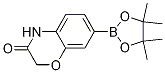 7-(4,4,5,5-Tetramethyl-1,3,2-dioxaborolan-2-yl)-2h-benzo[b][1,4]oxazin-3(4h)-one Structure,1219130-57-0Structure