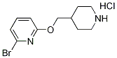 2-Bromo-6-(piperidin-4-ylmethoxy)pyridine hydrochloride Structure,1219957-03-5Structure