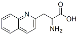 3-(2-Quinolyl)-dl-alanine Structure,123761-12-6Structure