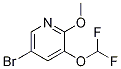 5-Bromo-3-(difluoromethoxy)-2-methoxypyridine Structure,1241752-50-0Structure