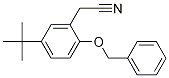 2-(2-(Benzyloxy)-5-(tert-butyl)phenyl)acetonitrile Structure,1246213-26-2Structure