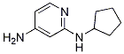 N2-cyclopentylpyridine-2,4-diamine Structure,1247500-24-8Structure