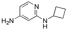 N2-cyclobutylpyridine-2,4-diamine Structure,1248791-40-3Structure