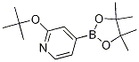 2-T-butoxypyridine-4-boronic acid pinacol ester Structure,1256358-89-0Structure