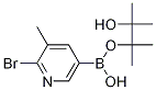 2-Bromo-3-methylpyridine-5-boronic acid pinacol ester Structure,1256360-64-1Structure