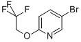 5-Bromo-2-(2,2,2-trifluoroethoxy)pyridine Structure,126728-58-3Structure