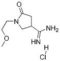 1-(2-Methoxyethyl)-2-oxopyrrolidine-4-carboxamidine hydrochloride Structure,1272756-21-4Structure