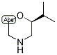 (S)-2-異丙基嗎啉結(jié)構(gòu)式_1286768-31-7結(jié)構(gòu)式