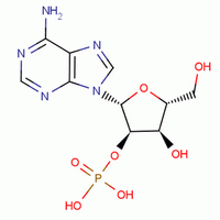 [(2R,3r,4r,5r)-2-(6-aminopurin-9-yl)-4-hydroxy-5-(hydroxymethyl)oxolan-3-yl] dihydrogen phosphate Structure,130-49-4Structure