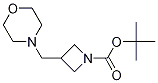 Tert-butyl 3-(morpholinomethyl)azetidine-1-carboxylate Structure,1323155-30-1Structure