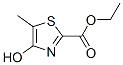 2-Thiazolecarboxylic acid, 4-hydroxy-5-methyl-, ethyl ester Structure,133833-93-9Structure