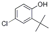 2-(Tert-butyl)-4-chlorophenol Structure,13395-85-2Structure