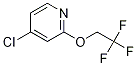 4-Chloro-2-(2,2,2-trifluoroethoxy)pyridine Structure,1346809-11-7Structure