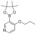 4-Propoxy-3-(4,4,5,5-tetramethyl-1,3,2-dioxaborolan-2-yl)pyridine Structure,1351994-80-3Structure