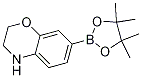 7-(4,4,5,5-Tetramethyl-1,3,2-dioxaborolan-2-yl)-3,4-dihydro-2h-benzo[b][1,4]oxazine Structure,1361110-64-6Structure