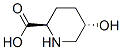 2-Piperidinecarboxylicacid,5-hydroxy-,(2r,5s)-(9ci) Structure,138662-60-9Structure