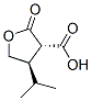 3-Furancarboxylicacid,tetrahydro-4-(1-methylethyl)-2-oxo-,trans-(9ci) Structure,147160-17-6Structure