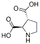2,3-Pyrrolidinedicarboxylicacid,(2r,3r)-(9ci)Structure,147332-08-9Structure 2,3-Pyrrolidinedicarboxylicacid,(2r,3r)-(9ci) Structure,147332-08-9Structure