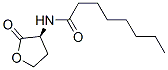 Octanoyl-l-homoserine lactone Structure,147852-84-4Structure