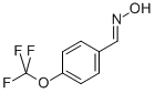 4-(tRifluoromethoxy)benzaldoxime Structure,150162-39-3Structure