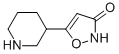 5-(3-Piperidinyl)-3(2h)-isoxazolone Structure,153745-69-8Structure