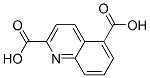 2,5-喹啉二羧酸(9ci)結構式_155602-27-0結構式