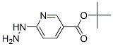 6-Hydrazinyl-3-pyridinecarboxylic acid 1,1-dimethylethyl ester Structure,163213-19-2Structure