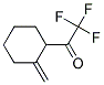 Ethanone, 2,2,2-trifluoro-1-(2-methylenecyclohexyl)-(9ci) Structure,163882-74-4Structure