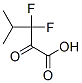 Pentanoic acid, 3,3-difluoro-4-methyl-2-oxo- Structure,165544-39-8Structure