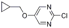 2-Chloro-5-(cyclopropylmethoxy)pyrimidine Structure,169677-66-1Structure