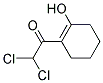 Ethanone, 2,2-dichloro-1-(2-hydroxy-1-cyclohexen-1-yl)-(9ci) Structure,169773-54-0Structure