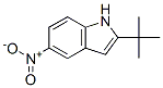 2-Tert-butyl-5-nitro-1H-indole Structure,174274-85-2Structure