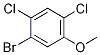 1-Bromo-2,4-dichloro-5-methoxybenzene Structure,174913-22-5Structure