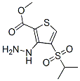 Methyl 3-hydrazino-4-(isopropylsulfonyl)thiophene-2-carboxylate Structure,175201-97-5Structure