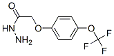 4-(tRifluoromethoxy)phenoxyacetic acid hydrazide Structure,175204-36-1Structure