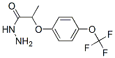 2-Methyl-2-[4-(trifluoromethoxy)phenoxy]acetic acid hydrazide Structure,175204-37-2Structure