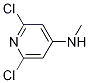 2,6-dichloro-4-methylaminopyridine Structure,175461-33-3Structure