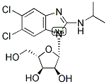 (2S,3s,4r,5s)-2-(5,6-dichloro-2-(isopropylamino)-1h-benzo[d]imidazol-1-yl)-5-(hydroxymethyl)tetrahydrofuran-3,4-diol Structure,176161-24-3Structure