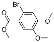 Methyl-2-bromo-4,5-dimethoxy benzoate Structure,17667-32-2Structure