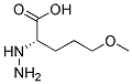 Pentanoic acid, 2-hydrazino-5-methoxy-, (s)-(9ci) Structure,179746-89-5Structure