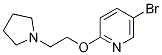 5-Bromo-2-(2-pyrrolidinoethoxy)pyridine Structure,180916-06-7Structure