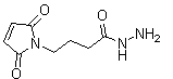 4-Maleimidobutyricacidhydrazide Structure,181148-01-6Structure