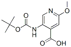 5-(tert-Butoxycarbonylamino)-2-methoxypyridine-4-carboxylic acid Structure,183741-86-8Structure