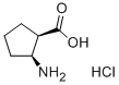 Cis-2-Amino-1-cyclopentanecarboxylic acid hydrochloride Structure,18414-30-7Structure