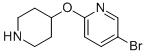 5-Bromo-2-(piperidin-4-yloxy)pyridine Structure,194668-50-3Structure