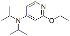 2-Ethoxy-4-(n,n-diisopropyl)aminopyridine Structure,200064-23-9Structure