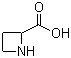 DL-氮雜環(huán)丁烷-2-羧酸結(jié)構(gòu)式_20063-89-2結(jié)構(gòu)式