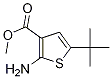 Methyl 2-amino-5-(tert-butyl)thiophene-3-carboxylate Structure,216574-71-9Structure