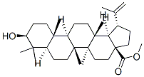 樺木酸甲酯結構式_2259-06-5結構式