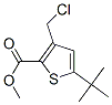 Methyl 5-tert-butyl-3-(chloromethyl)thiophene-2-carboxylate Structure,252914-61-7Structure